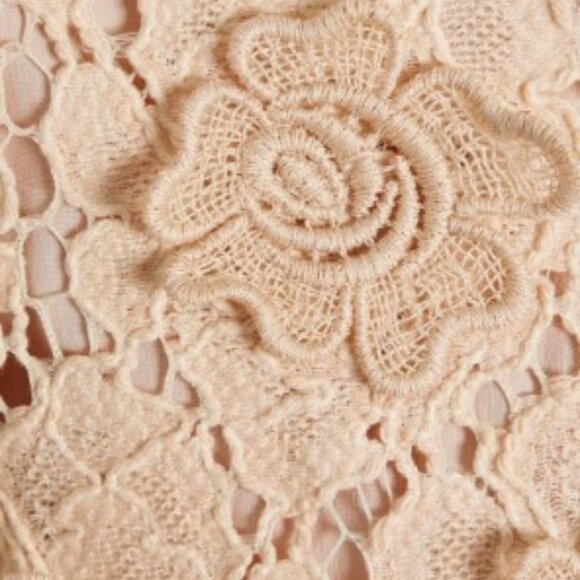Max Mara |  Lirica Guipure Lace Jacket in Blush | SZ 14 | BNWT - Picture 7 of 17